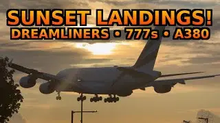 🌇🛬Sunset Arrivals at Heathrow ✈️ A380, 777 & Dreamliner Showcase