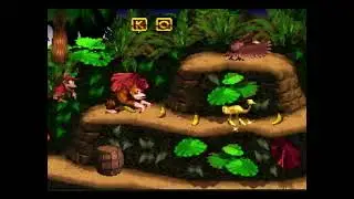 Level 1-1 : Jungle Hijinxs - Donkey Kong Country