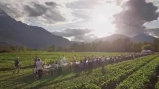 Araxi Longtable Dinner