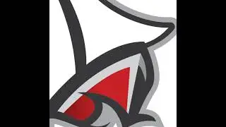 Detroit Lakes High Varsity Mens' Basketball