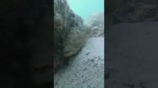 Daily Scuba Discovery - 1