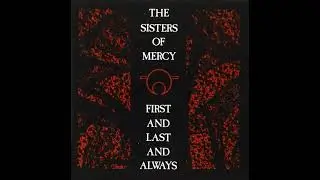 The SISTERS of MERCY - No time to cry (Bass cover)