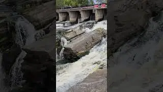 hogs back falls #shorts