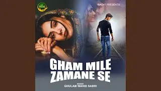 Gham Mile Zamane Se