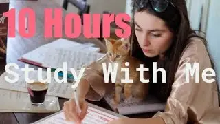 Study With Me | 10 Hour Study Day (Ft Special Furry Guest)