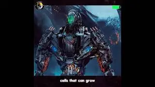 Do Transformers have Unlimited Bullets? #movie #viralvideo #film #trending #marvel
