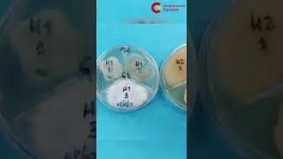 Hongos y bacterias para remediaci&oacute;n de suelos