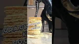 Iron Guardians vs. Fast Food! Oddly Satisfying High Knee Boots Crushing! ASMR