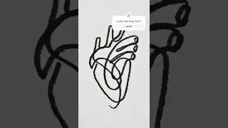 Heart Drawing with One Line #drawing