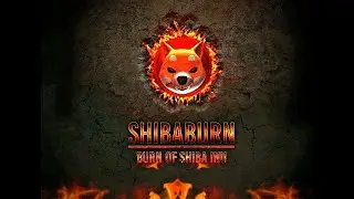 🔴[LIVE] SHIBA INU BURN PORTAL SHIBA BURN