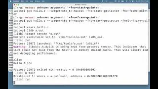 Netsec Tools for Executables 7 - lldb