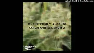 MUCHA KUSH Y ALCOHOL