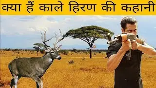 &ldquo;Salman Khan Blackbuck Case | 1998 से अब तक की पूरी सच्चाई | Full Case Analysis&rdquo;
