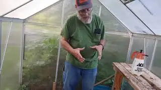 groundhog removal