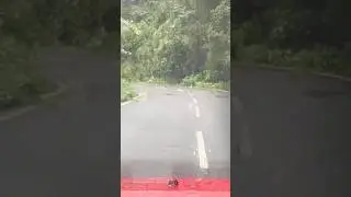 Car ride | Solo car drive | Long drive | Car travel | Kannur to chickmagalur | Car drive