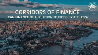 Can Finance be a solution to Biodiversity loss ?