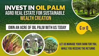 Why Oil Palm Agro Real Estate is the Future: SilvaWell&rsquo;s Smart Investment Approach