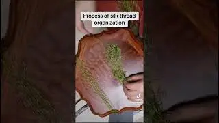 Process of silk thread organization