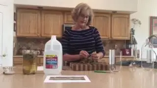 How to Make a Hay Infusion Culture