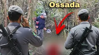 Na procura por Gilberto, olha o que encontrei na mata! 😱