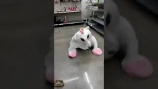 Dancing Unicorn in walmart