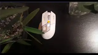 Best budget mouse for $20 Review (InPhic A9 explorer)