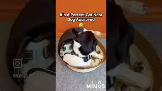 Mimos Cozy Cat Nest. Dog approved 😎 it&rsquo;s perfect for cats!