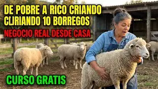 curso gratiz De Pobre a Rico Criando 10 Borregos   Negocio Real Desde Casa”
