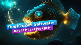 ReefDudes Saltwater Reef - Live Q&A
