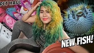 ВСТРЕЧАЙТЕ МОЮ НОВУЮ РЫБУ-СОБАКУ! -PET HAUL-