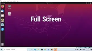 How To Make Ubuntu Full Screen in VirtualBox (2020)