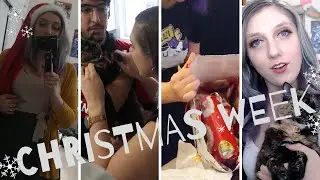 Buying Every Cat item at the Dollar Store, Christmas w/ RiotSwimbananas