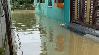 🚨 Bilaspur Flood LIVE 🌊 | Pura Shehar Duba Hua | Ground Report
