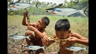 primitive technology eating delicious cooking fish Hunting fish for food every day to make a living