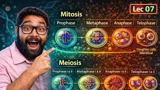 LYSOSOME || PLASTID || MITOCHONDRIA,CELL DIVISION DETAILED EXPLAINED HINDI AND ENGLISH