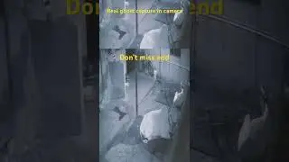 Real ghost capture in camera #trending #horrorstories #scarystories #atma #reels