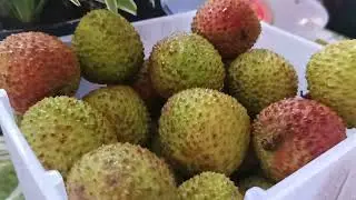 Leci madu buah manis rrc area surabaya dan sekitarnya