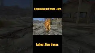 Companions Have Cut Unused Voice Lines When On Fire