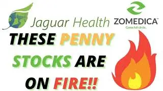 Penny Stocks To Buy Now | JAGX Jaguar Health ZOM Zomedica Stock Analysis