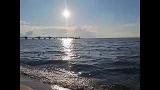 #sea #seaside #viking #boat #summer #memories #waves #pier #birds #sun #reflection