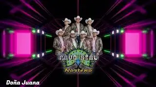 Pavo Real Norteño - El Mere Mere/Doña Juana - En Vivo - 11/14/2025