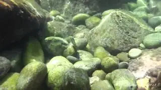 Panasonic HX-WA20 underwater test and samples in Taormina, Italy - HD 1080p
