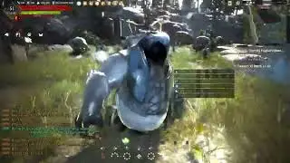 Black Desert