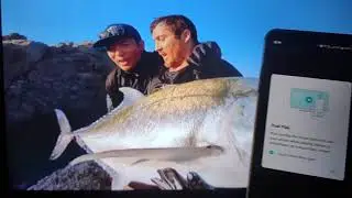 LG Stylo 4 Screen Mirroring to TV / Miracast