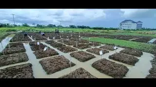 Profile of Soil Science Laboratory and Experimental Garden, Faculty of Agriculture, UNSIKA