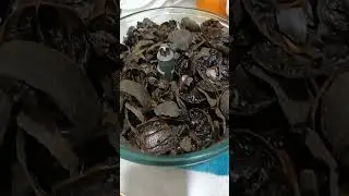 Black Lemon powder #shorts #youtube #short #status #oman #youtubeshorts #viral #trending
