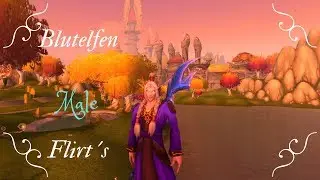 WoW Blutelfen Male Flirt&acute;s
