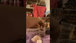 How to make love powder❤️