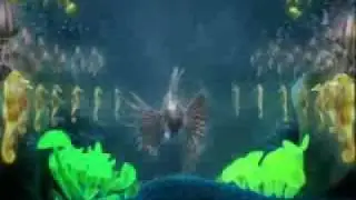 sammy the salmon