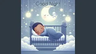 Good Night